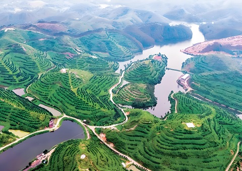 �㶫��ҵ��ɫ��ҵ��չ������Ŀִ�г����ƶ�