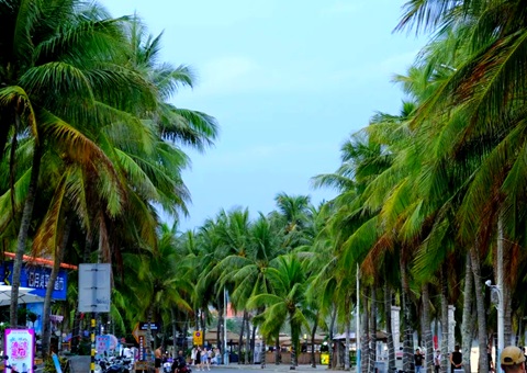 �����������ױ�������кΡ�������?