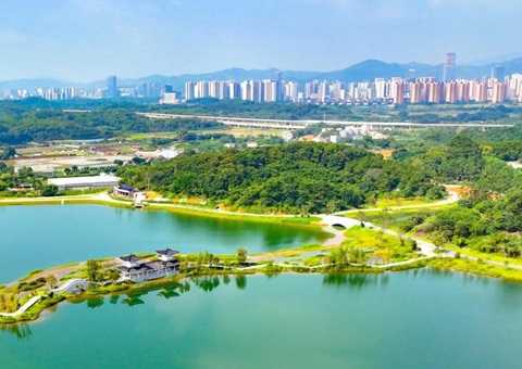 �㶫����ƶ�ȫ���Ƥ�ۺ����� ����46��ִ�й滮�ѻ�ʡ������