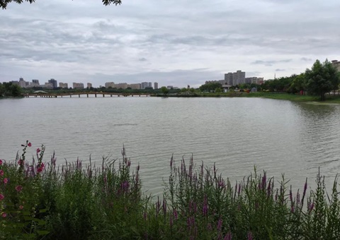 ���ĳ����ֲ�ʪ�ĵ��������ɽ��������Эͬ����