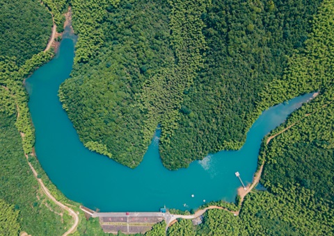 �������ຼ����ɽ�����ˮ����&nbsp;&nbsp;�ƽ��г�����Ԫ����̬�����⳥