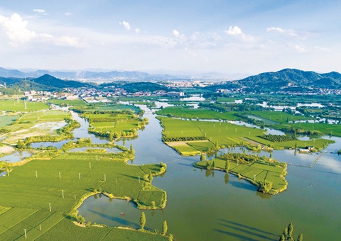 �㽭��������ɹ��׸����ȹ�԰�ʲ��龿�Ե��ȫʡ�����õ�ʹ��Ȩ����龿��