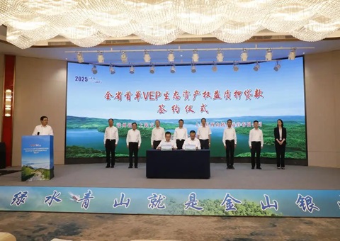 �����׵� VEP ��̬�ʲ�Ȩ����Ѻ�����仧����