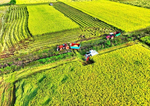 �����ƶ��߳߶�ũ�ｨ�輰�ڶ��ֵ�Ƥ�а������ٵ����Ե㹤��