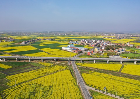 �������Ź�������ά������ģʽ   ����ȫ���ɽ�ۺ�����ʾ������