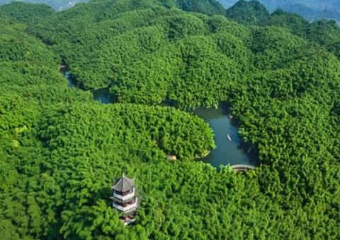 �Ĵ��䲼�ֲ�̼�ջ���Ŀ����ѧ&nbsp;&nbsp;&nbsp;&nbsp;������̬��Ʒ��ֵ����