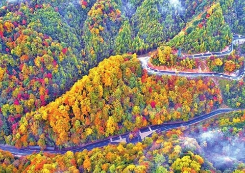 ��Ϲ��̿�����֯ר�Ҷ԰��й���ɽ��ŵˮ��������ʹ�԰��չ����������