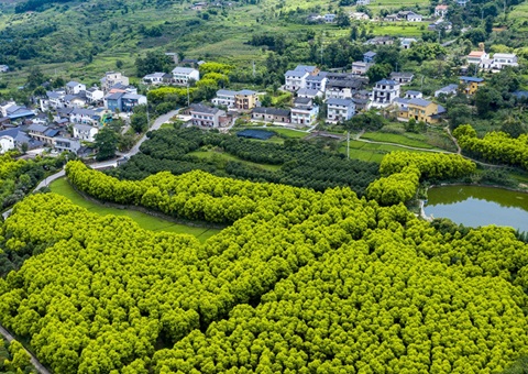 ����������������γɵ���������ʽ��չ&nbsp;&nbsp;����ȫ������ũҵ������8�����й��������д���90��