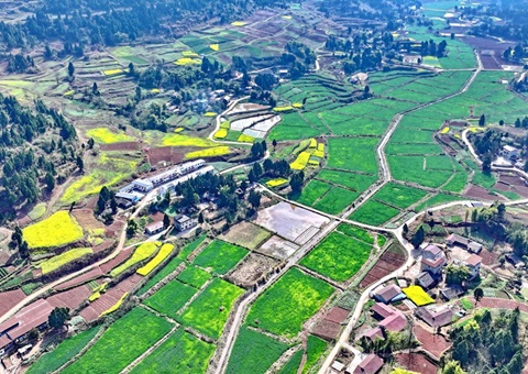 �Ĵ�ʡȫ���ƶ������ֵس��ؿռ�������һ��ͼ������