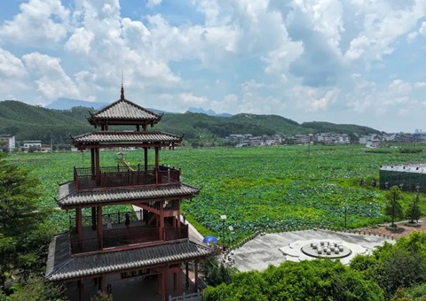 �����䲼2025���ɽ�ռ���̬����9�����Ͱ���