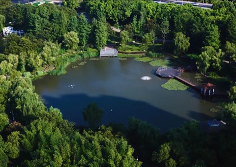 �Ϻ������ֳ����������Ϊ�������