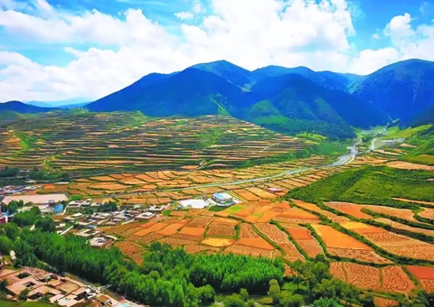 �ຣʡ��Ȼ��Դ����̨������򡰹���ʽ���滮������������ &nbsp;&nbsp; �ƶ�ȫʡ�������滮����ȫ����