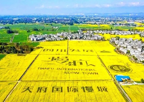 ���й���Ȼ��Դ����ר�汨·�Ĵ�ʡ��Ȼ��Դ�͹滮��������ũ�����ںϷ�չ������ʵ��