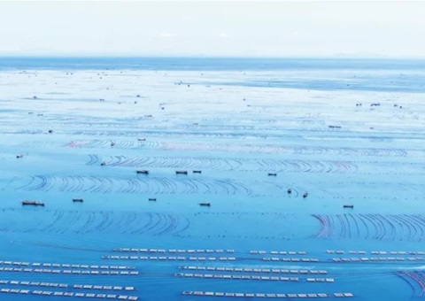 ����ȫ��龿������Դ�ʲ�ʵ��������ֵ����ʹ��Ȩ�������庣�󡰼ҵ׶���