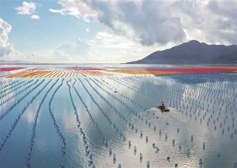 �㶫�����ִ�������������Ŀ����ʹ�ý�������ߺ�������    ������Ŀ���ǰ5�꺣��ʹ�ý�