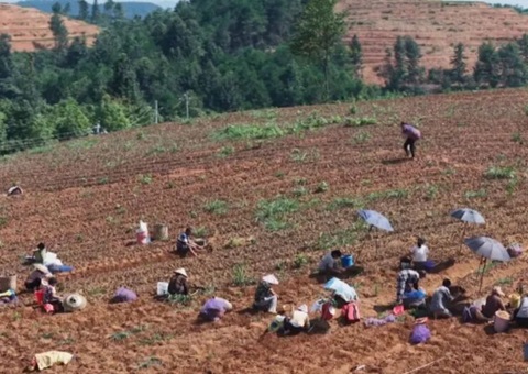 ͭ����ɽ�����ָ��û���Ч�����辶