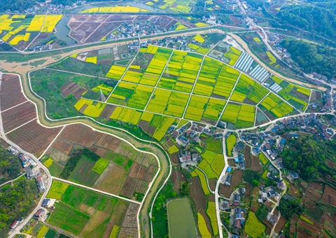 ����ʡ��Ȼ��Դ�����ճ���ũҵ��ҵ����������չ