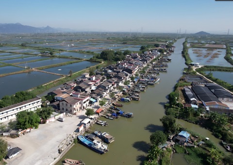 �㶫ʡ��Ȼ��Դ���ƶ���ս�Ų��������ò��ﺹ���Ų��Ļ���ֵ