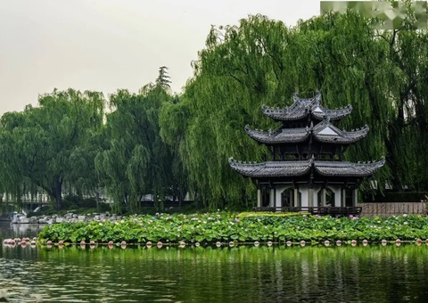 ���������꽫��25�����м���԰��������Ȧ   ��2035��ȫ�и��๫԰����1300��