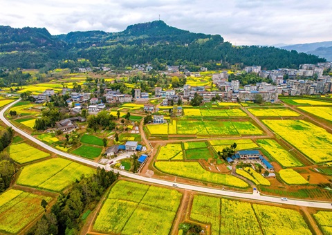 �Ĵ��ѿ��е�Ƥ����ר��ծȯ186.66��Ԫ