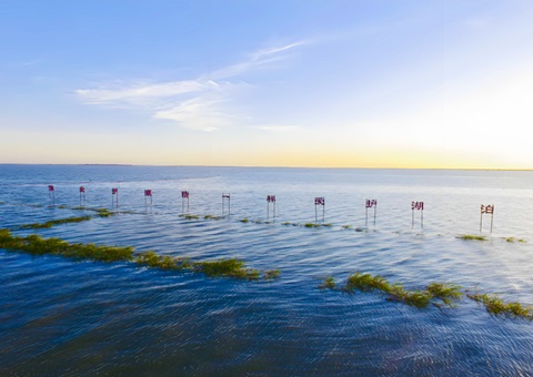 ����ʡӡ��ȫ���׸���Ȼ��Դ�ʲ����ù滮����ָ��