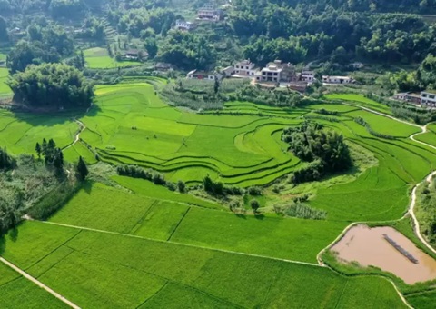 �Ĵ�ʡ�����׸�ȫ���Ƥ�ۺ�����ִ�й滮