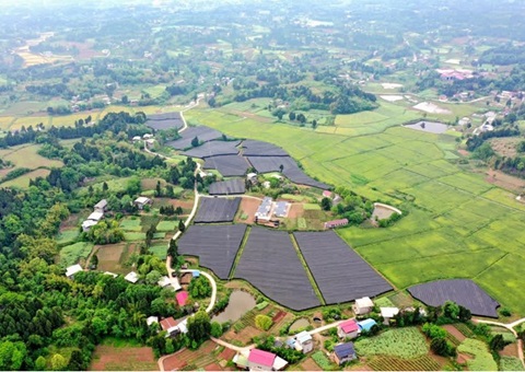 �������徭Ӫ��������12��Ķ�ֵؾ���Ǳ��