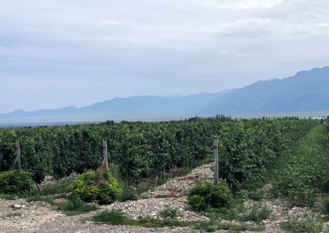 ���ģ���չ��̬��Դ���׵��� ����ȫ����Эͬ�����辶