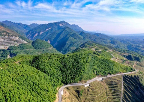 ���Ĵ�ʡ��̬��ƷĿ¼��2025��棩����ʽ�䲼