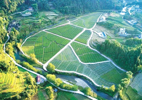 �����õ�������Ŀ�鲢����ʡʱ90��